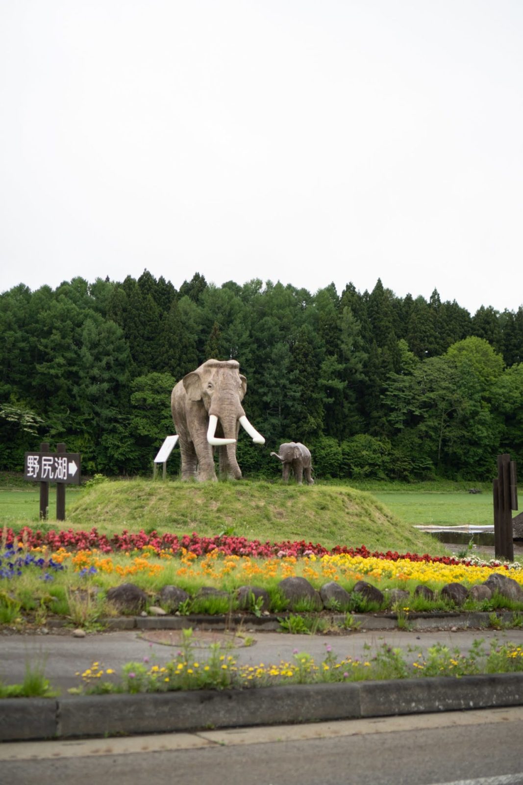 ７周年を迎えました